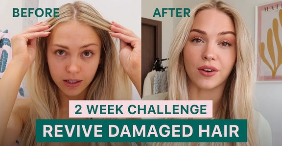 6 - How I Fixed My Damaged Hair in 2 Weeks